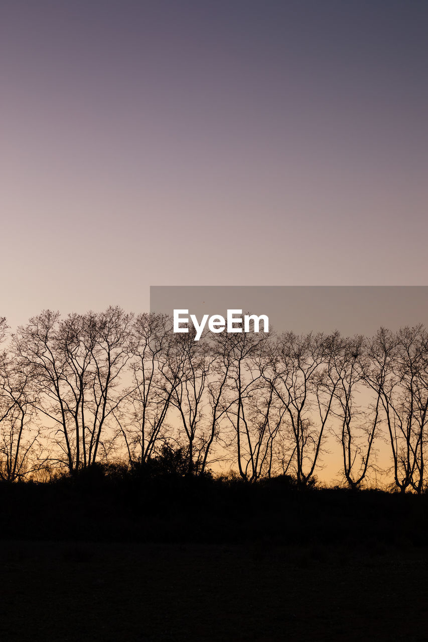 SILHOUETTE OF BARE TREES ON FIELD AGAINST CLEAR SKY