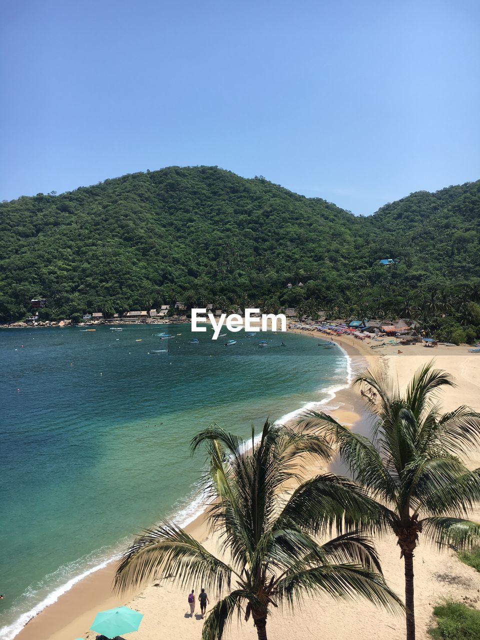 SCENIC VIEW OF BEACH AGAINST CLEAR SKY