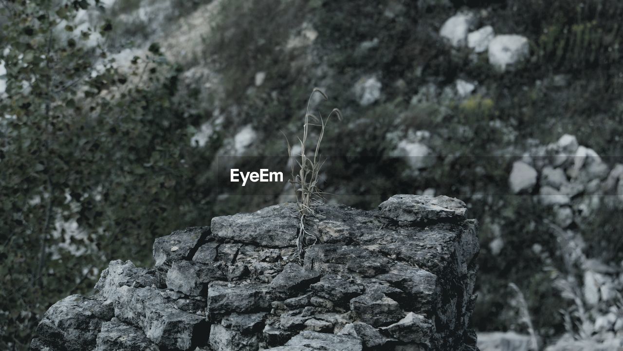 CLOSE-UP OF ROCKS ON ROCK