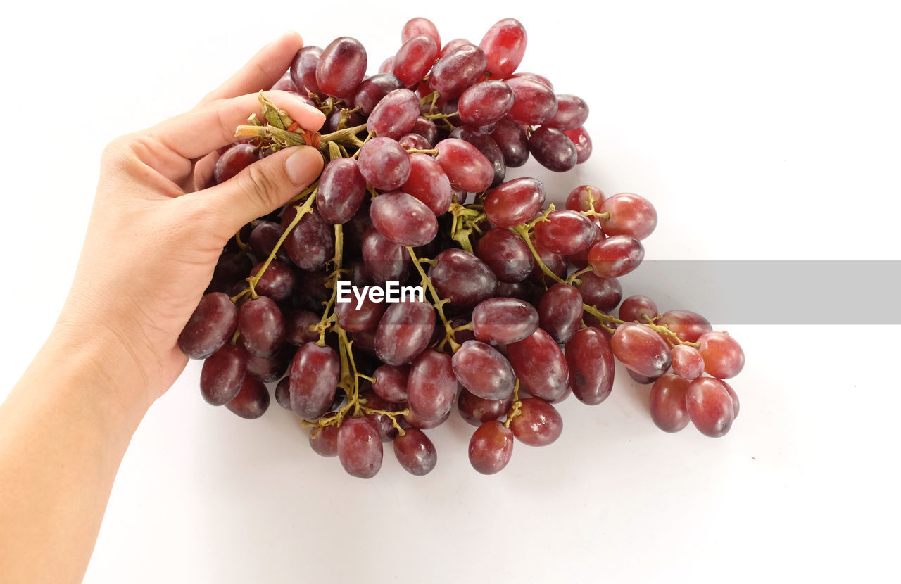 CLOSE-UP OF HAND HOLDING GRAPES