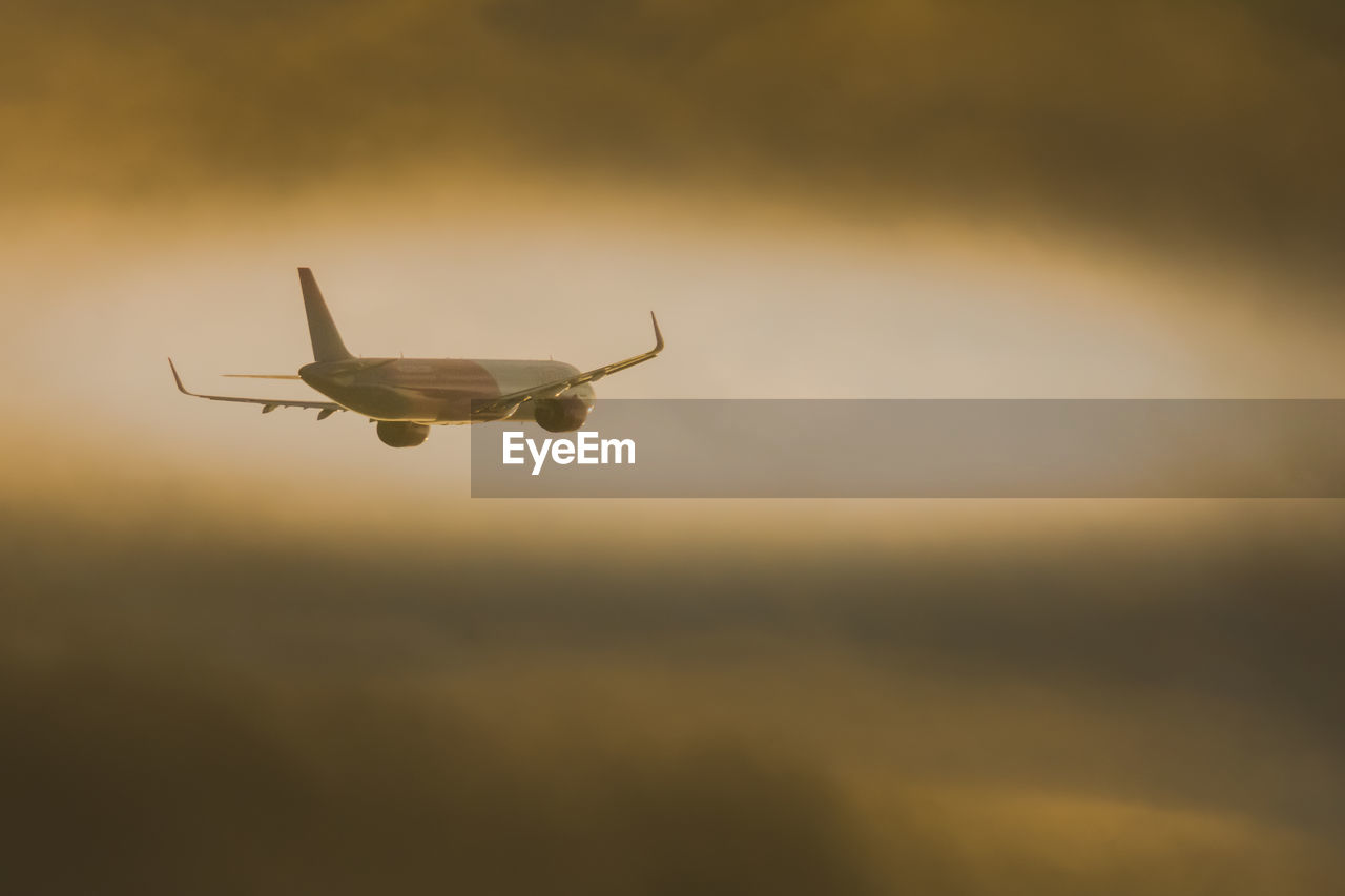 air vehicle, flying, airplane, transportation, mode of transportation, vehicle, sky, aircraft, sunset, airliner, mid-air, travel, nature, aviation, no people, wing, air travel, cloud, motion, on the move, animal, outdoors, journey, takeoff, copy space, one animal, animal themes