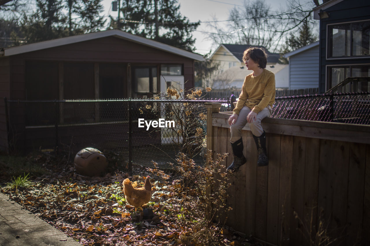 A beautiful child sits on a fence in a backyard looking at a chicken