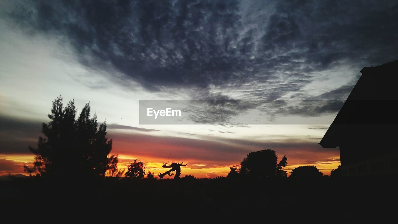 SCENIC VIEW OF SILHOUETTE TREES AGAINST SKY