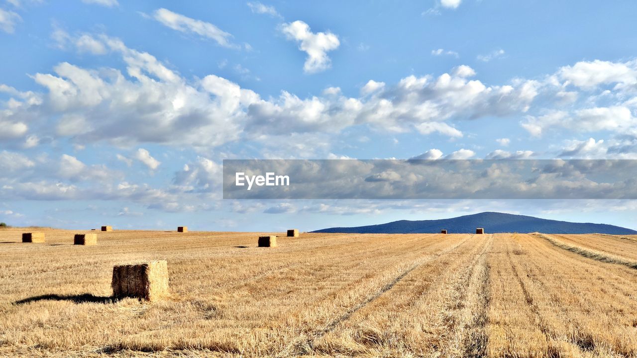 landscape, land, sky, environment, cloud, agriculture, field, plain, scenics - nature, nature, rural scene, grassland, horizon, hay, prairie, plant, soil, bale, beauty in nature, steppe, tranquil scene, farm, tranquility, blue, no people, horizon over land, harvesting, cereal plant, plateau, day, crop, sunlight, non-urban scene, summer, outdoors, natural environment, grass, dry, cloudscape, urban skyline, idyllic, rural area, remote, food, straw