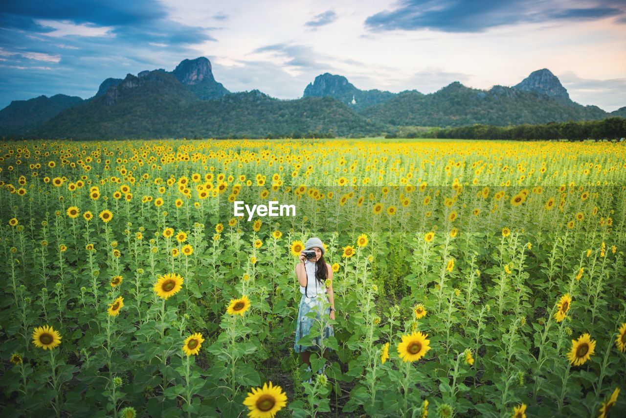 Portrait of woman photographing while standing amidst sunflowers growing on field