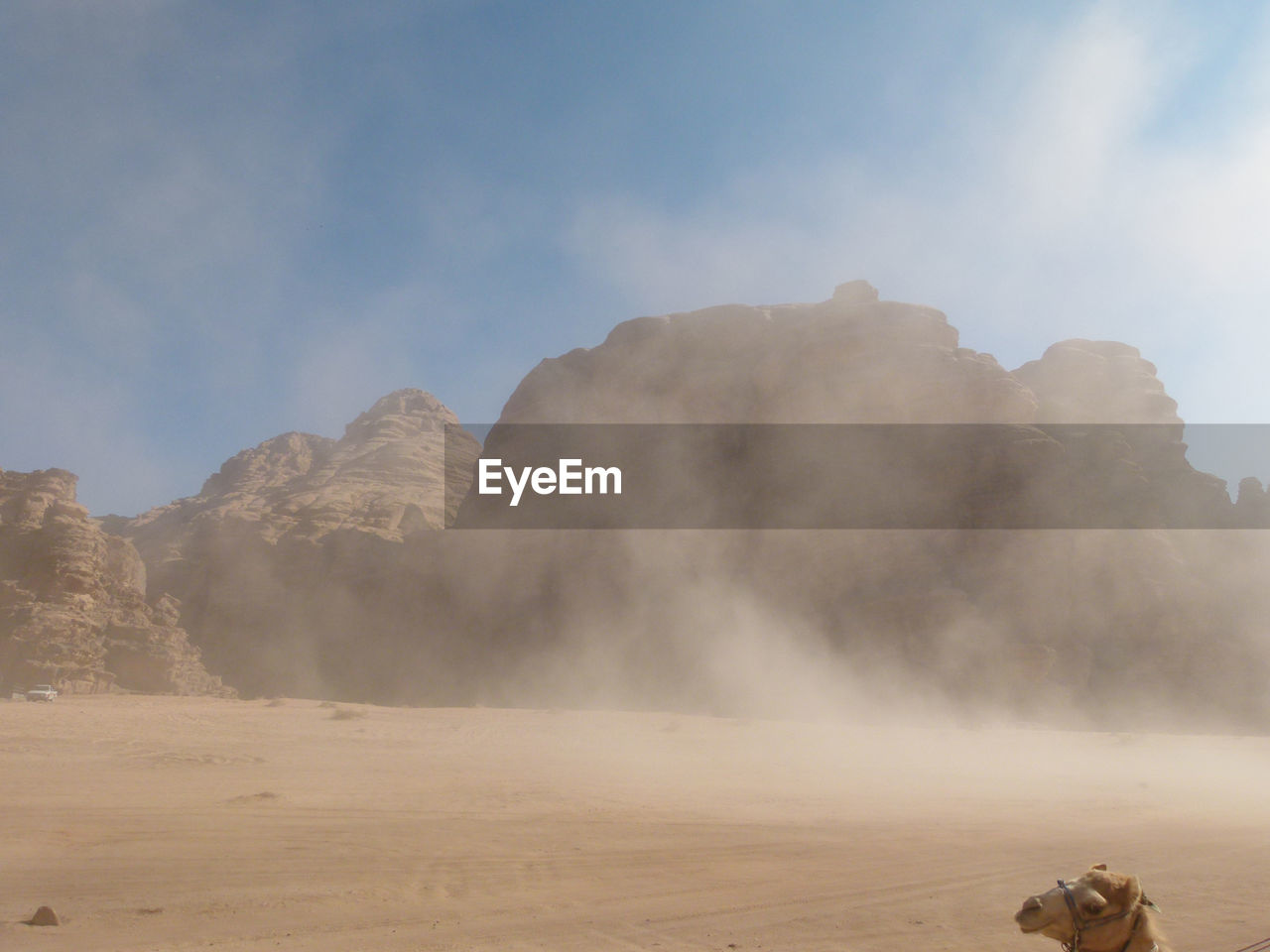 Riding on camel in sandstorm in  wadi rum 