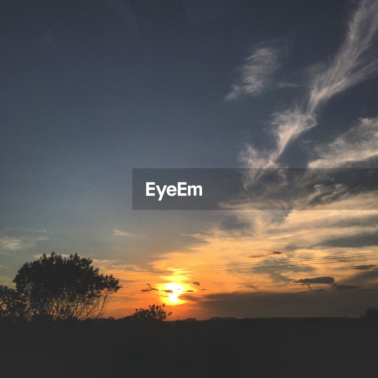 SILHOUETTE TREES AGAINST SKY DURING SUNSET