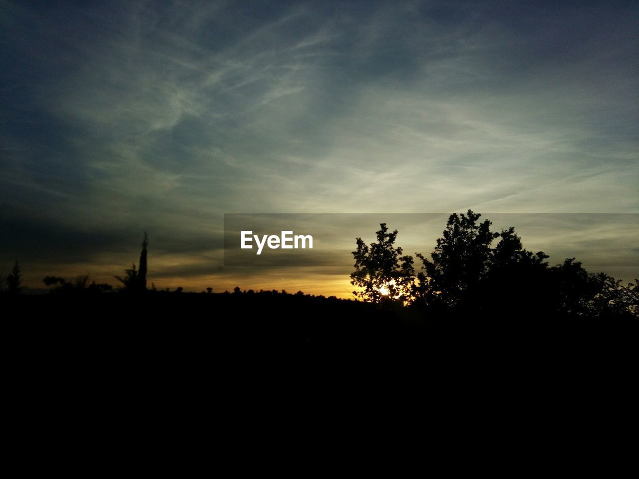 SILHOUETTE TREES ON LANDSCAPE AGAINST SKY