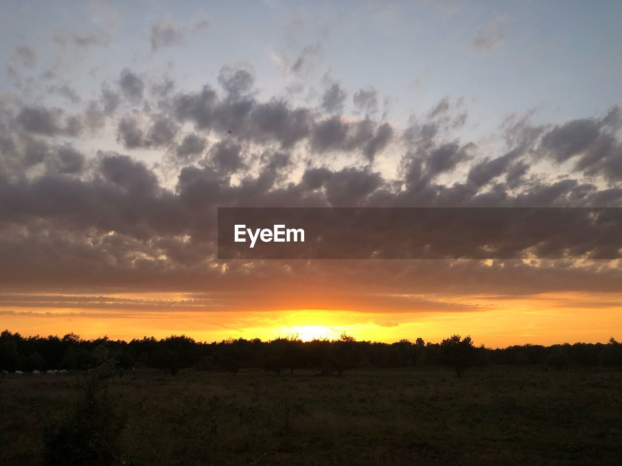 SCENIC VIEW OF DRAMATIC SKY OVER LAND