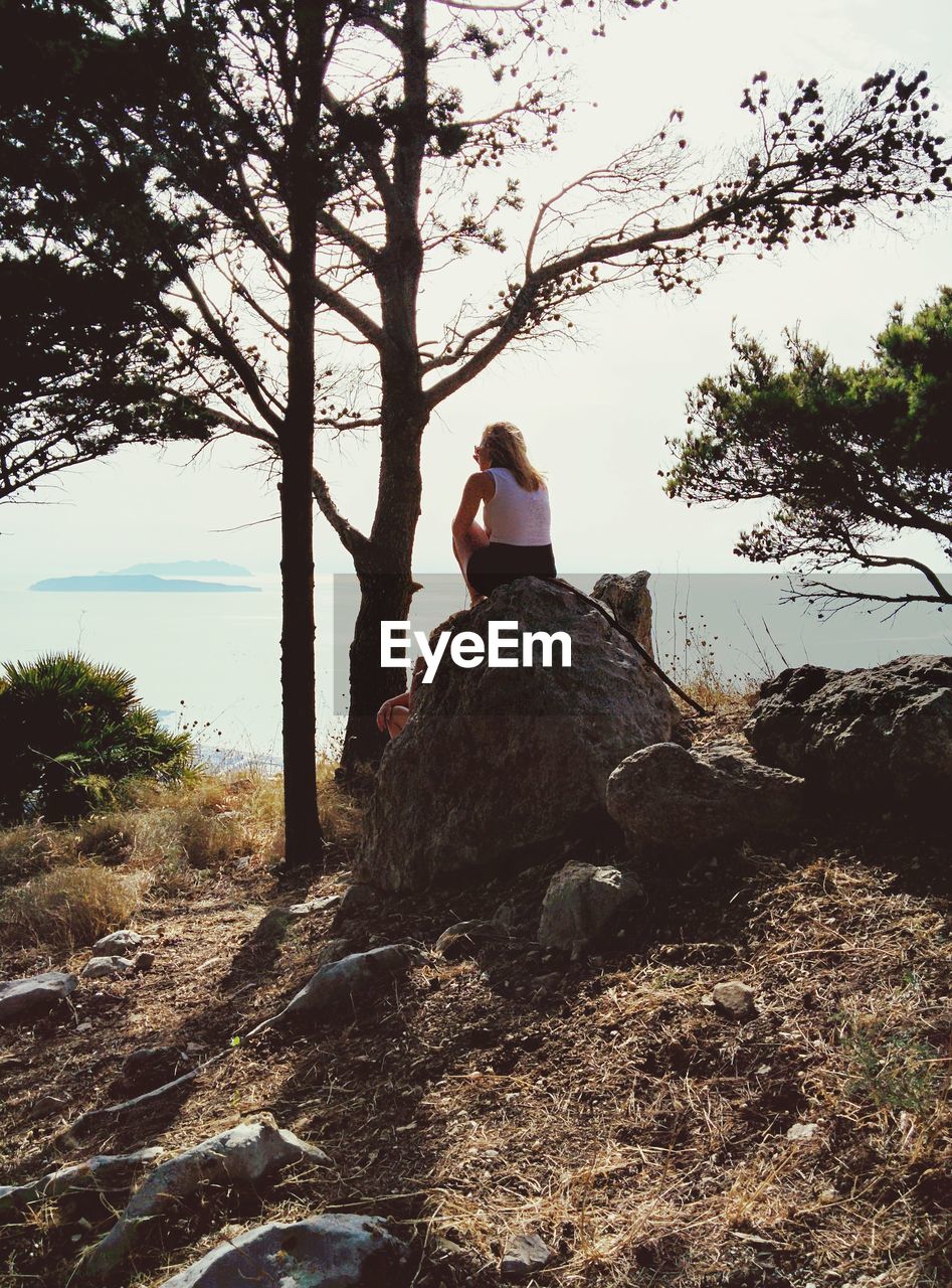 REAR VIEW OF WOMAN SITTING ON TREE