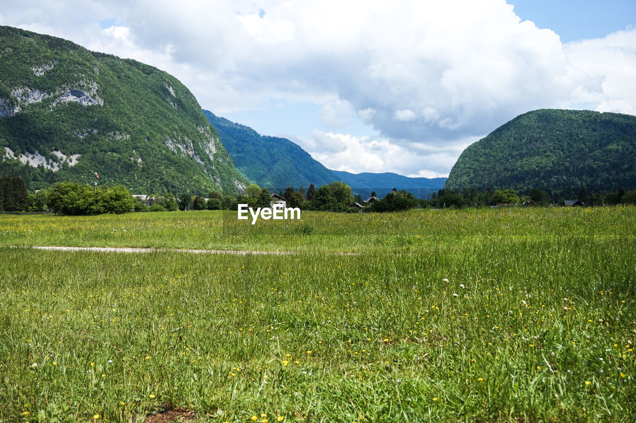 Scenic view of field against sky