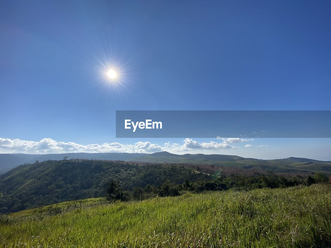 SCENIC VIEW OF FIELD AGAINST BRIGHT SKY