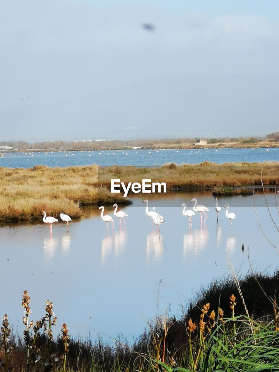 VIEW OF LAKE AGAINST THE SKY