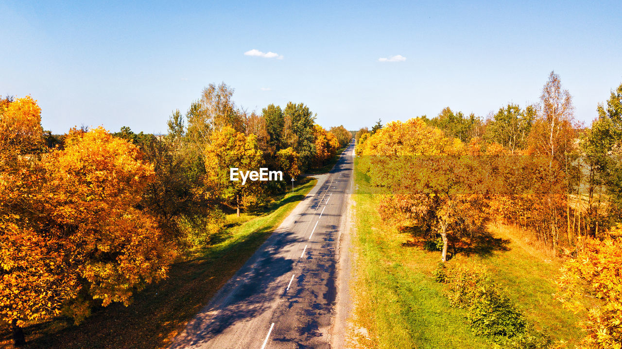 DIRT ROAD AMIDST TREES DURING AUTUMN