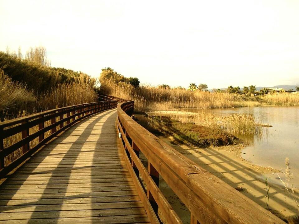 VIEW OF BOARDWALK ALONG TREES