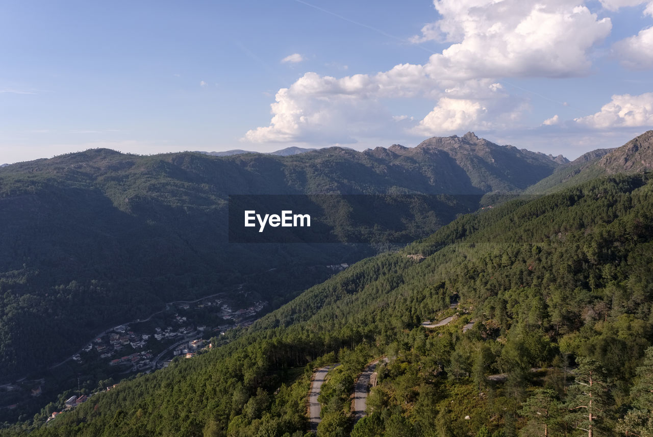 mountain, environment, scenics - nature, landscape, sky, land, beauty in nature, plant, tree, mountain range, nature, forest, pinaceae, cloud, pine tree, coniferous tree, pine woodland, wilderness, travel, ridge, travel destinations, tranquility, valley, no people, tranquil scene, non-urban scene, tourism, outdoors, blue, summer, meadow, plateau, social issues, environmental conservation, adventure, activity, mountain pass, green, leisure activity, vacation, mountain peak, idyllic, day, rural scene, trip, holiday, woodland, grass, sunlight, walking, field, lush foliage