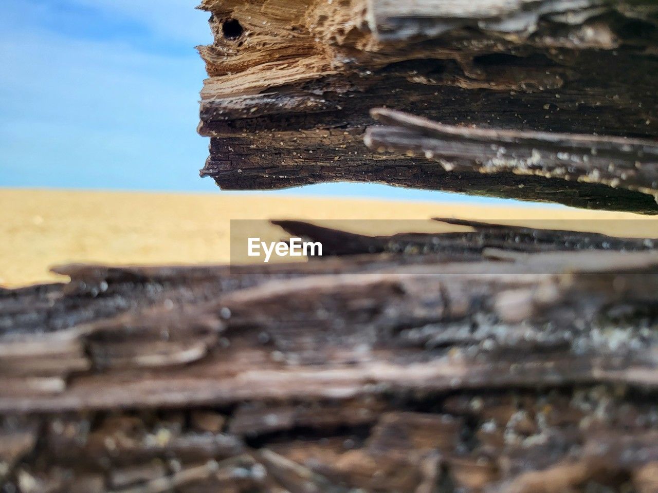 wood, nature, no people, water, day, land, rock, selective focus, sea, outdoors, close-up, driftwood, sky, beach, timber, tranquility, log