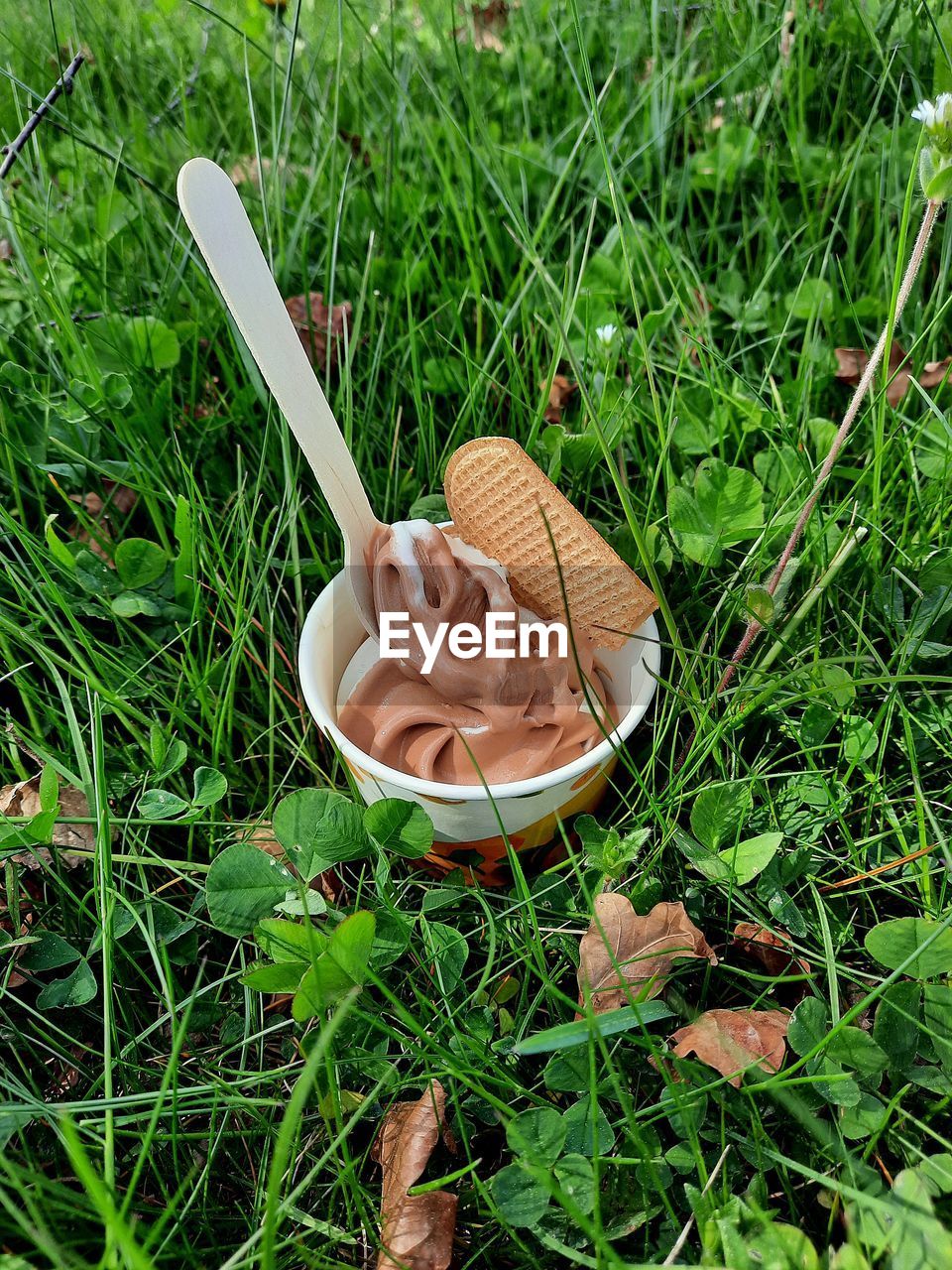 High angle view of food on field