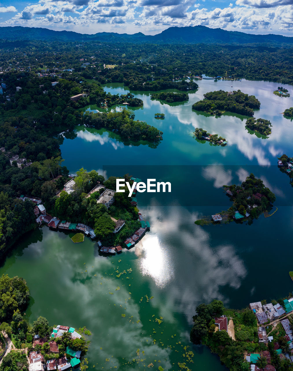 HIGH ANGLE VIEW OF TREES AND SEA