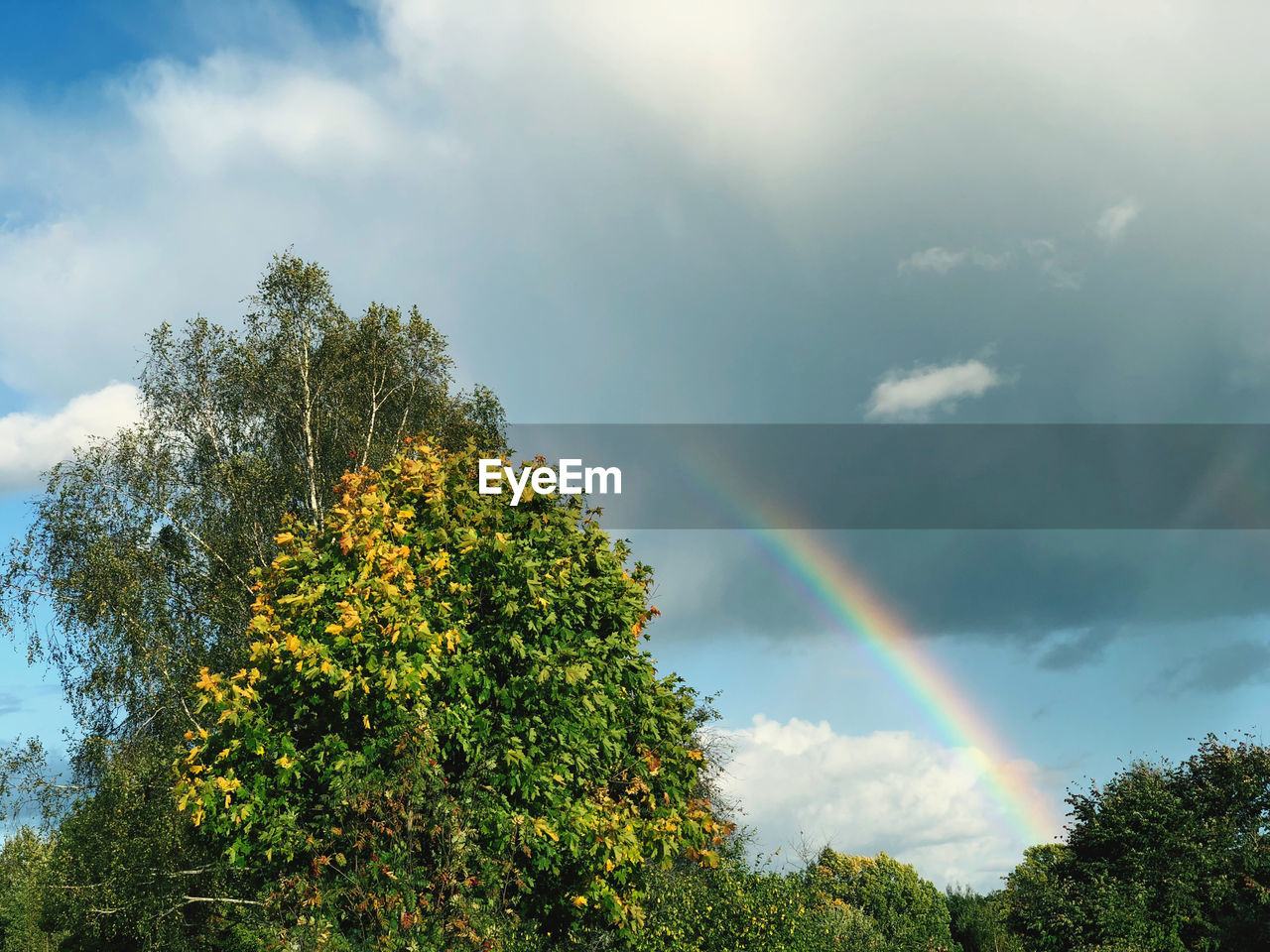 LOW ANGLE VIEW OF RAINBOW IN SKY