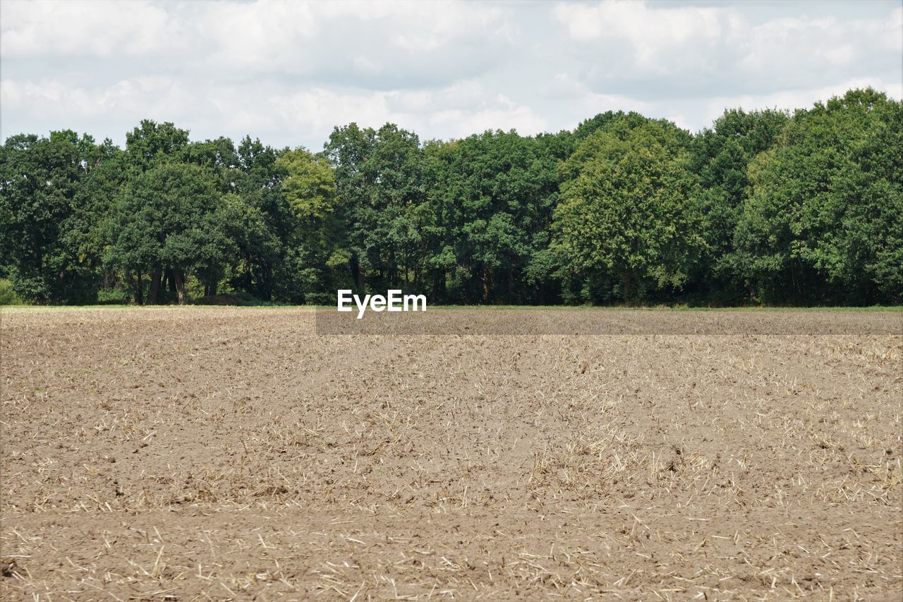 SCENIC VIEW OF FIELD AGAINST TREES