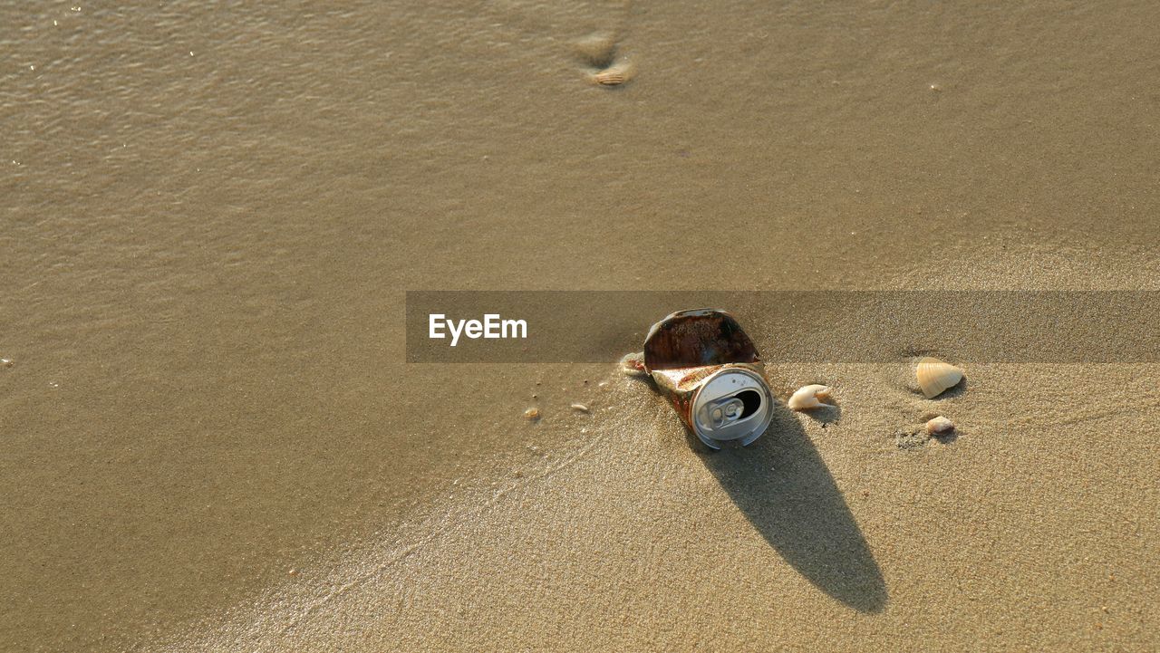 Garbage, aluminum can, on the beach with shells on sand in summer. environment concept.