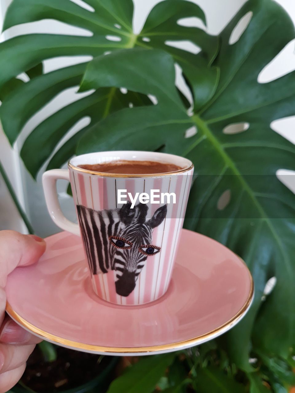 Turkish coffee with jungle