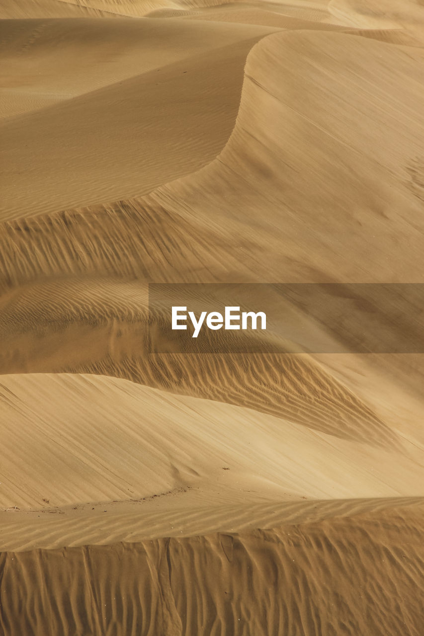 Scenic view of sand dunes at desert