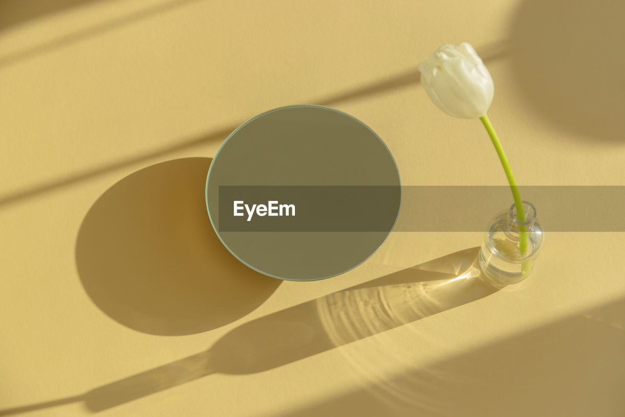 White tulip near a round mirror on yellow background with shadows.