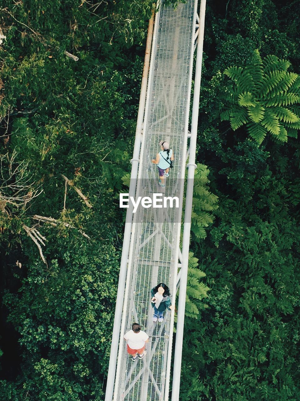 High angle view of people on suspension bridge over trees