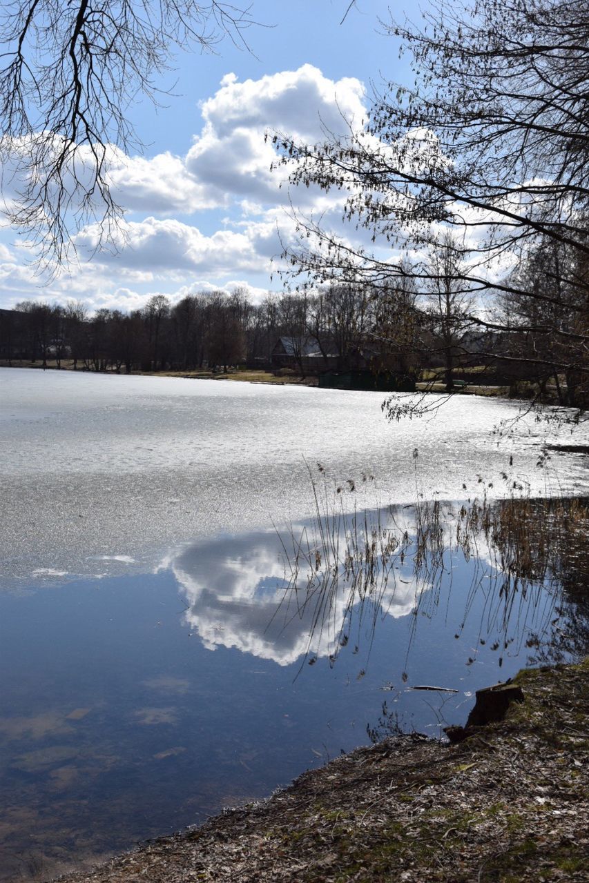 REFLECTION OF TREE IN LAKE AGAINST SKY