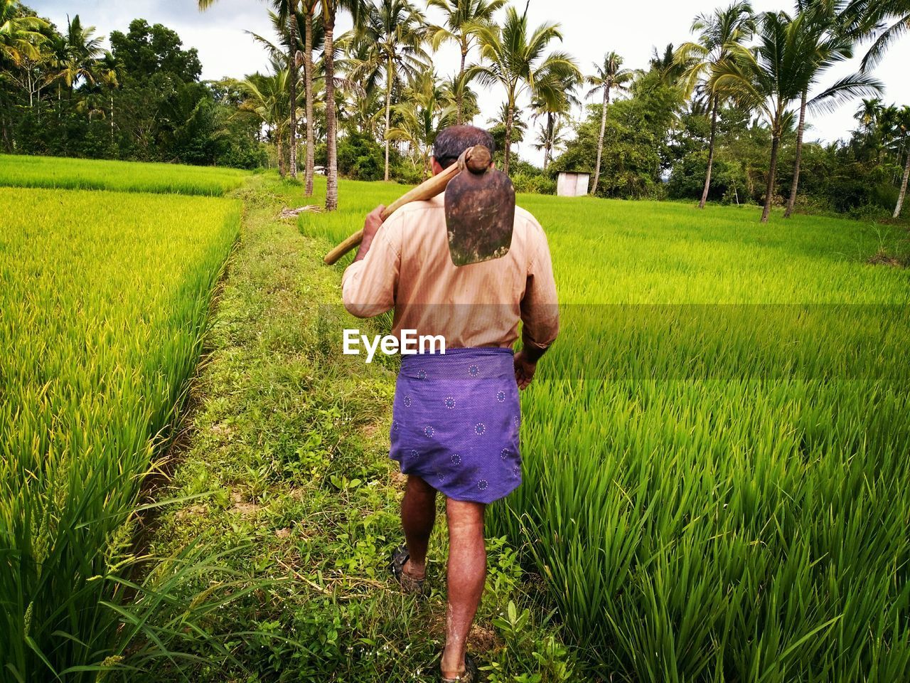 Rear view of farmer with work tool walking on field