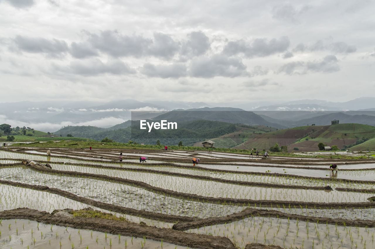 Farmers working at rice terrace against sky