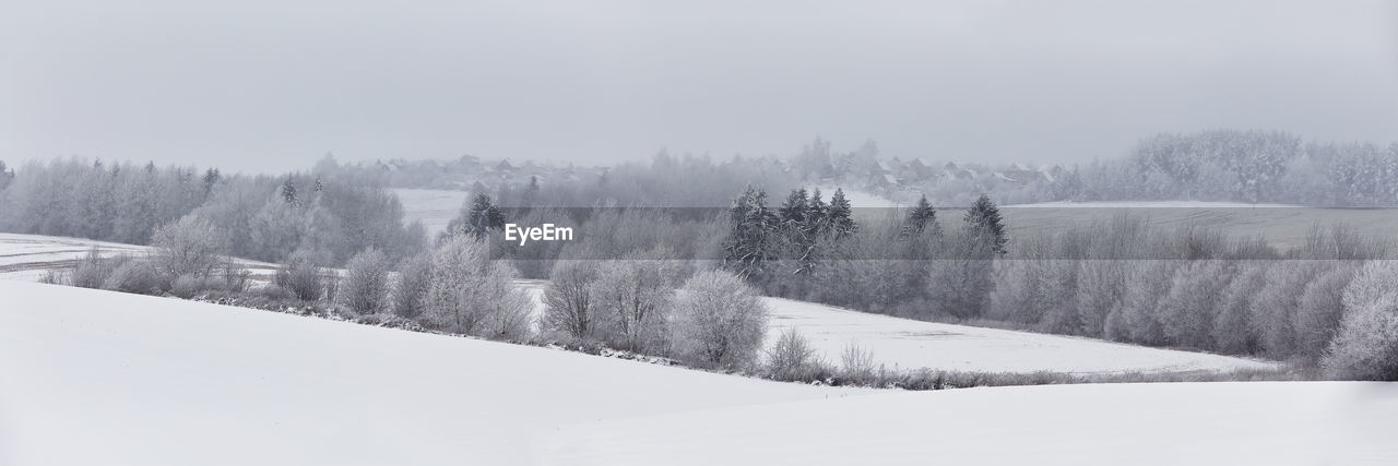 Panorama  winter forest covered clouds. december fog hills. misty fall wood. snowstorm. snowy trees.