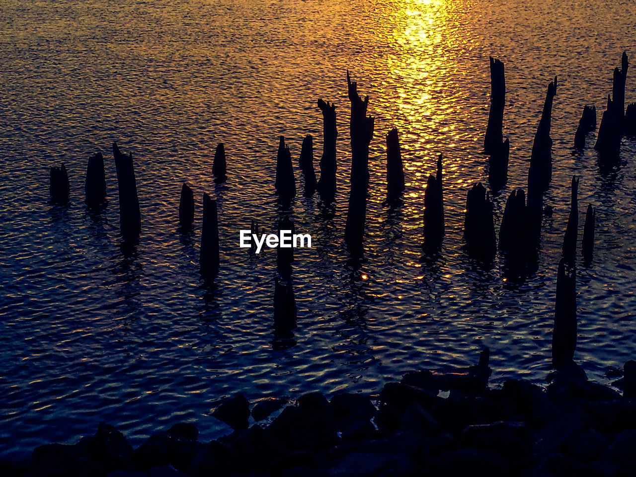 High angle view of silhouette wooden posts in sea during sunset