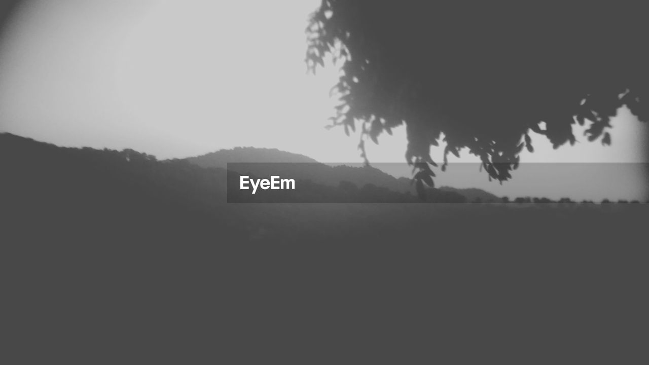 Silhouette of trees against sky