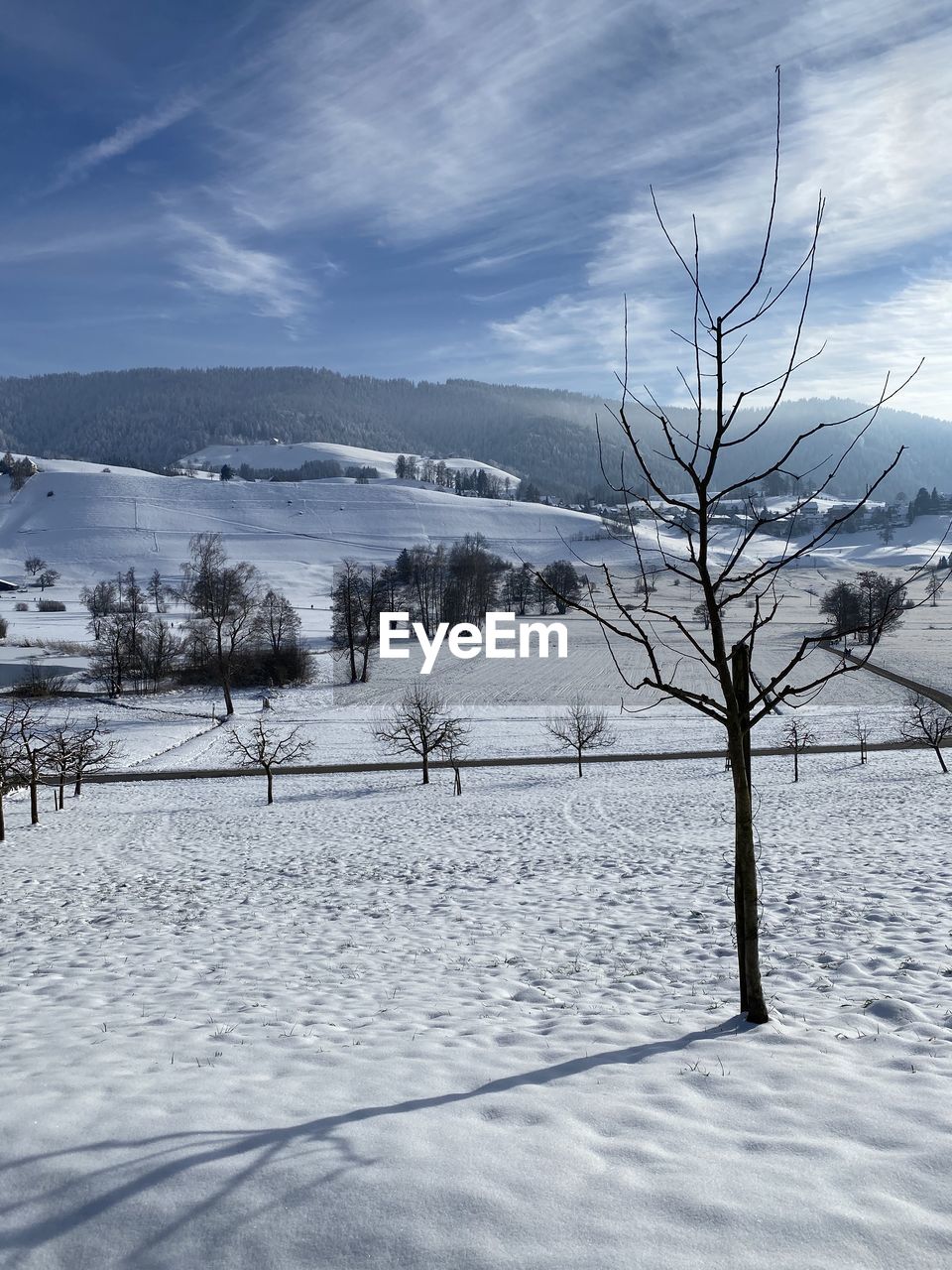 BARE TREES ON SNOW COVERED LAND AGAINST SKY
