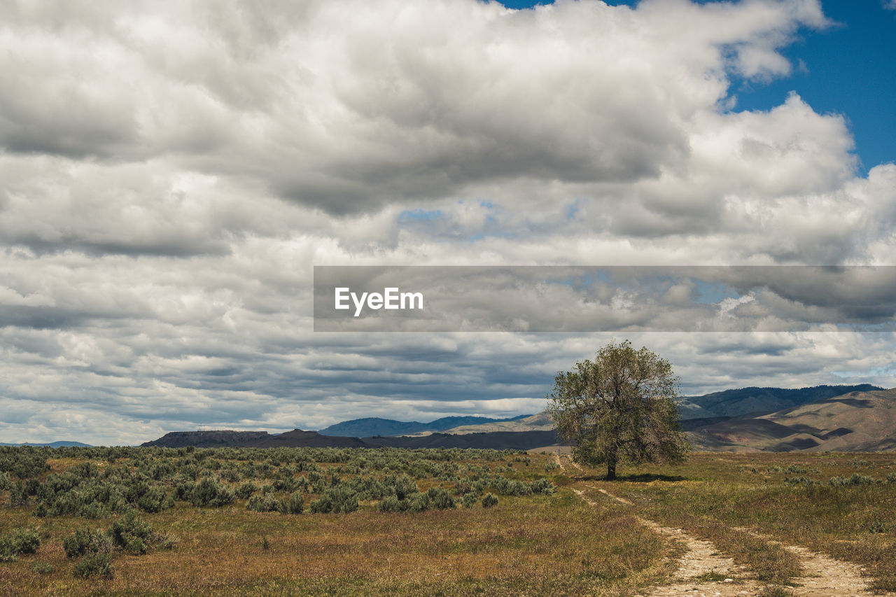 SCENIC VIEW OF LAND AGAINST SKY