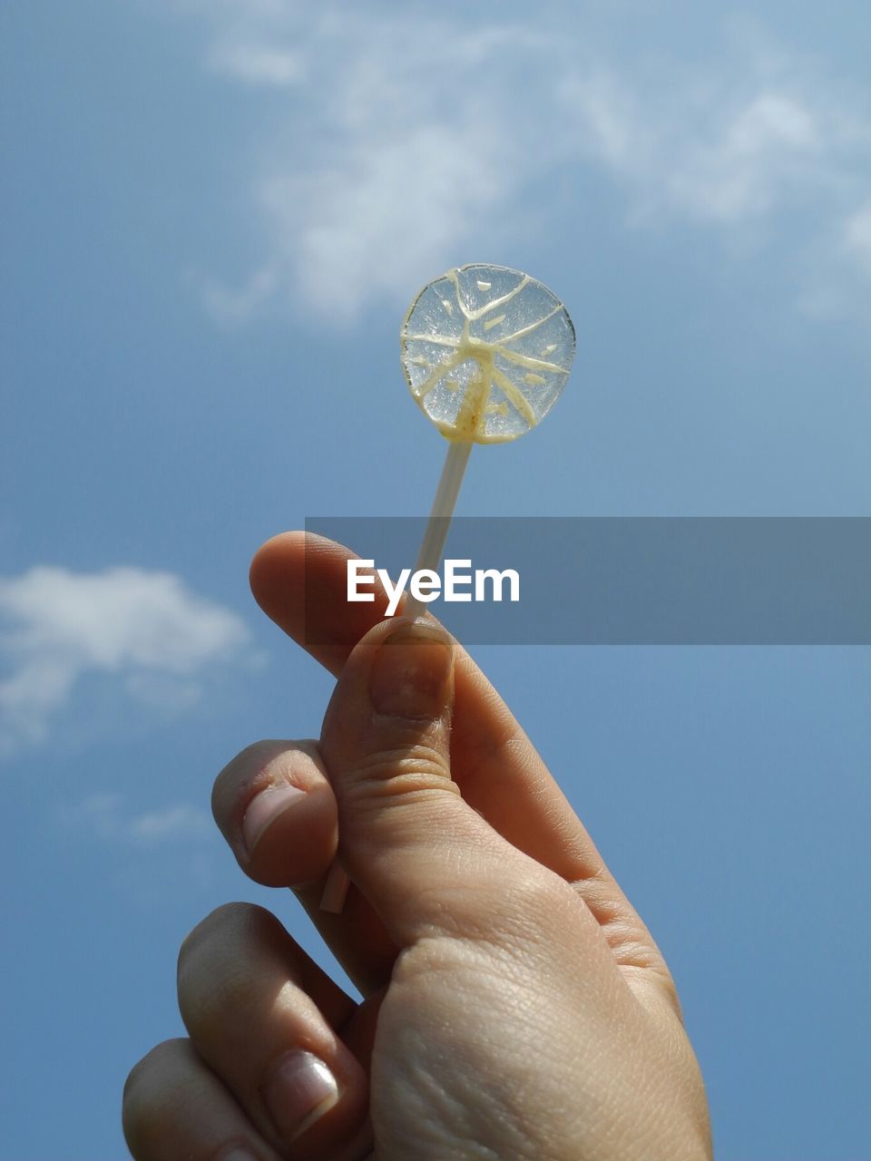 Cropped hand holding lollipop against sky