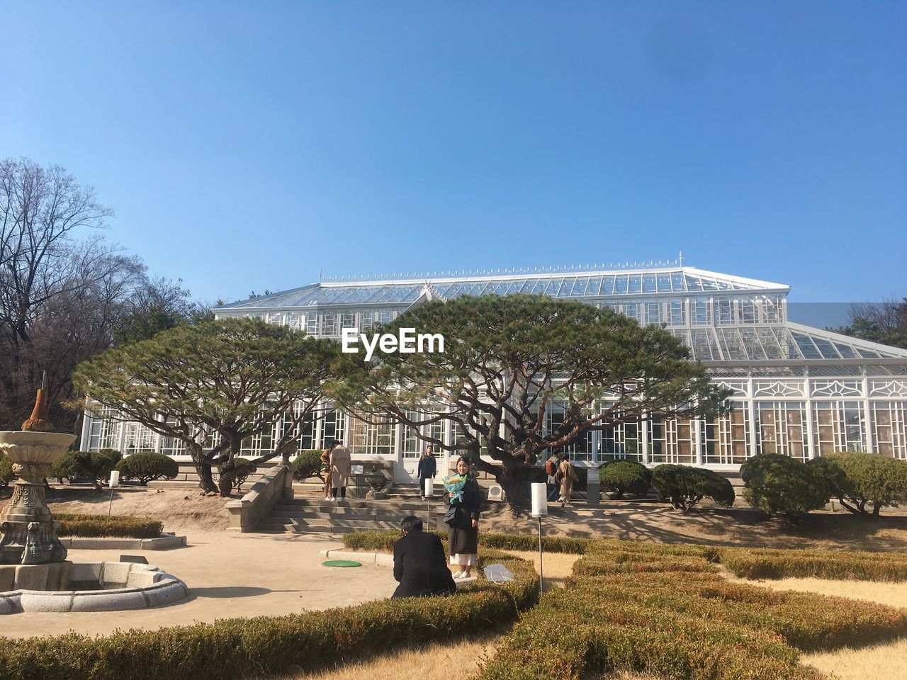 PANORAMIC VIEW OF TREES AND BUILDINGS AGAINST SKY