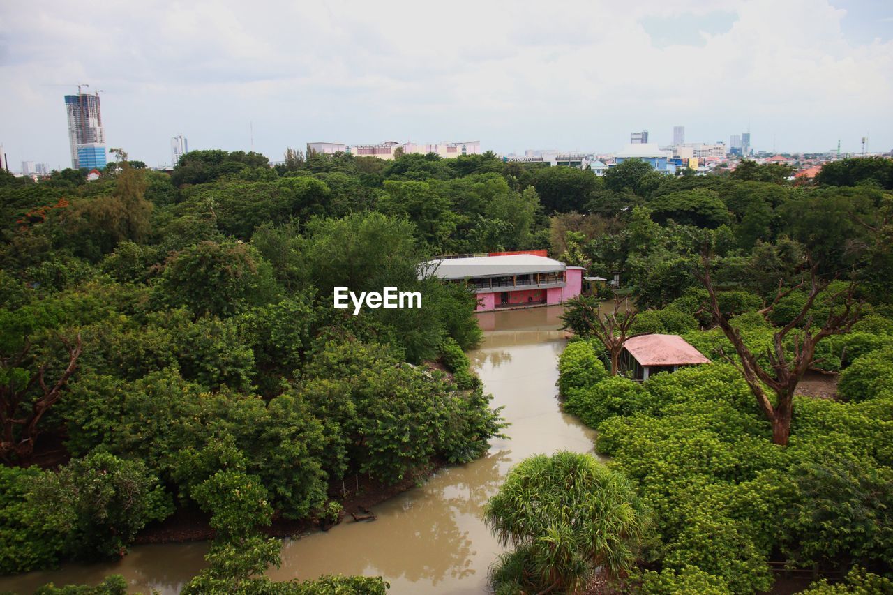 HIGH ANGLE VIEW OF TREES AND BUILDINGS