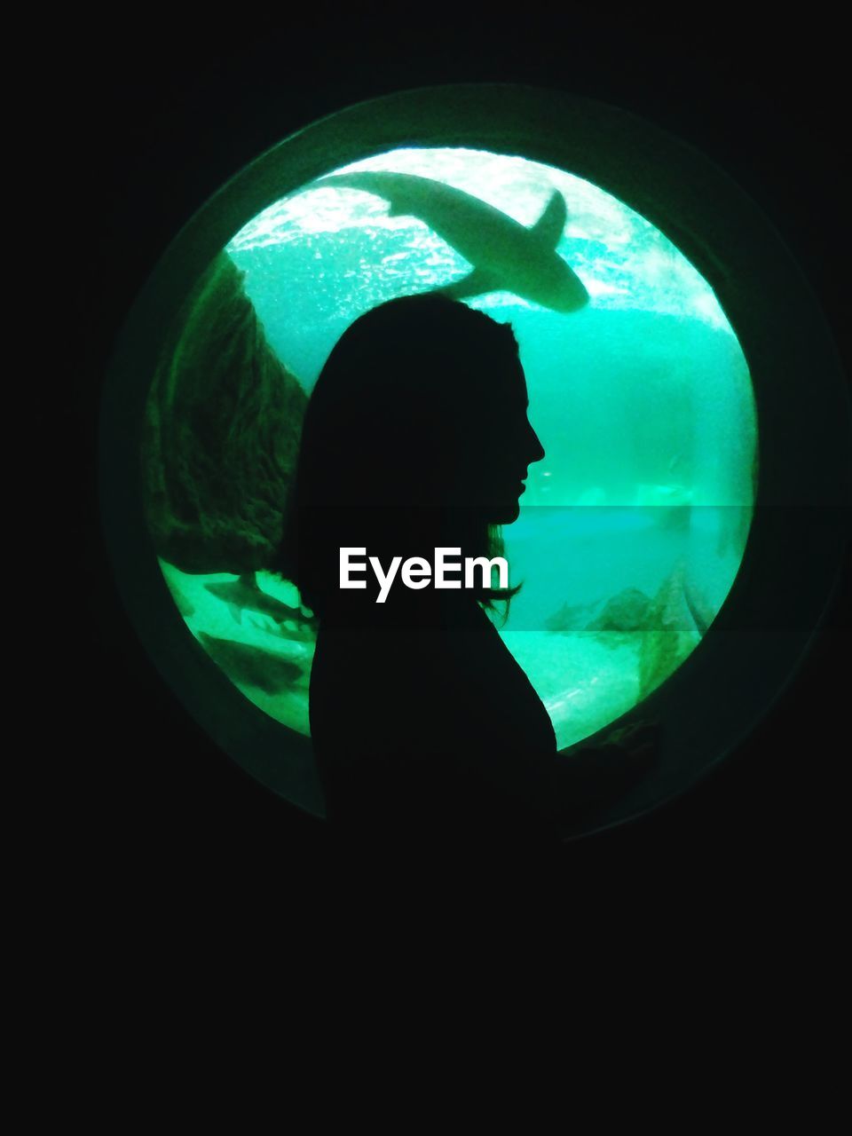 Side view of silhouette woman standing in aquarium