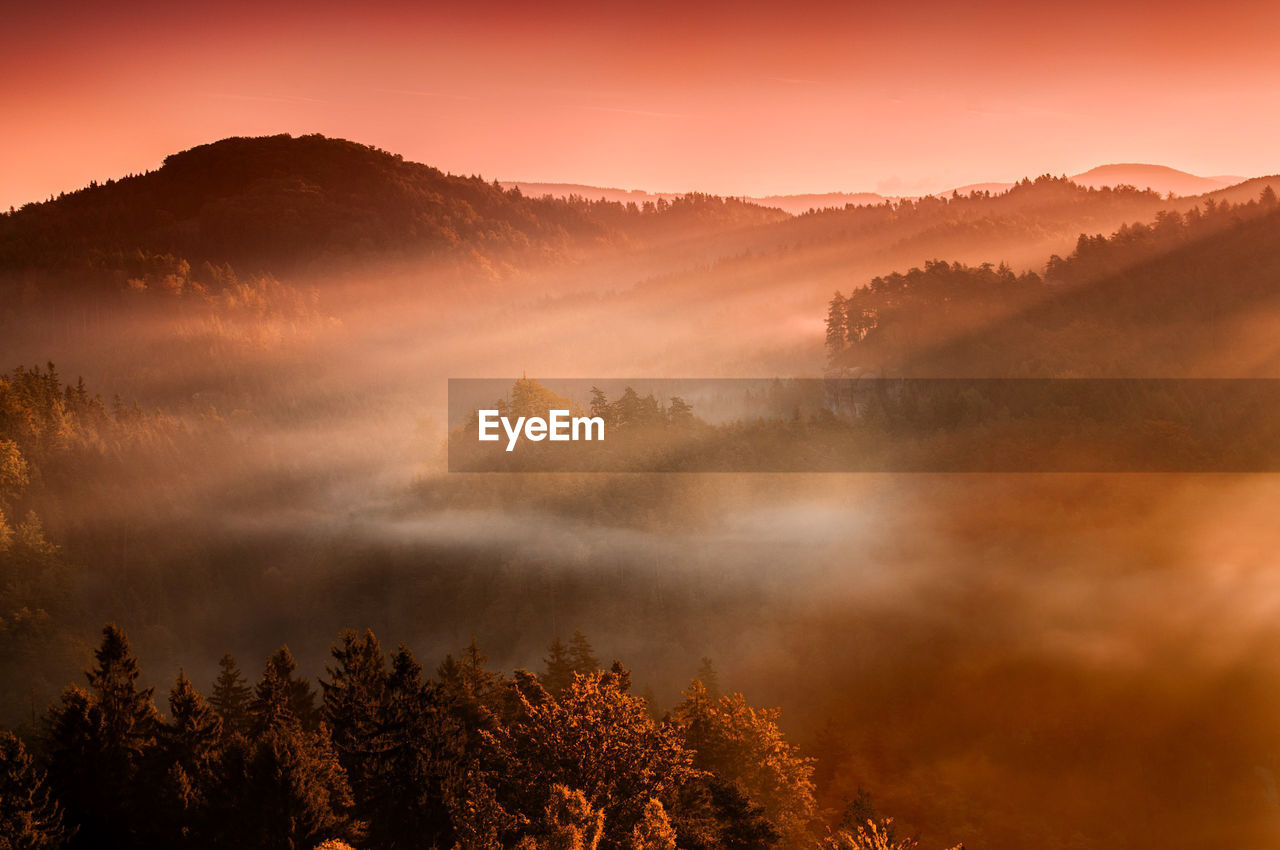 Scenic view of trees against sky during sunset