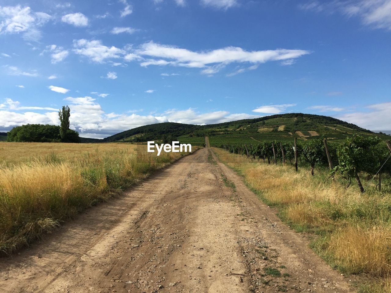 Road passing through field