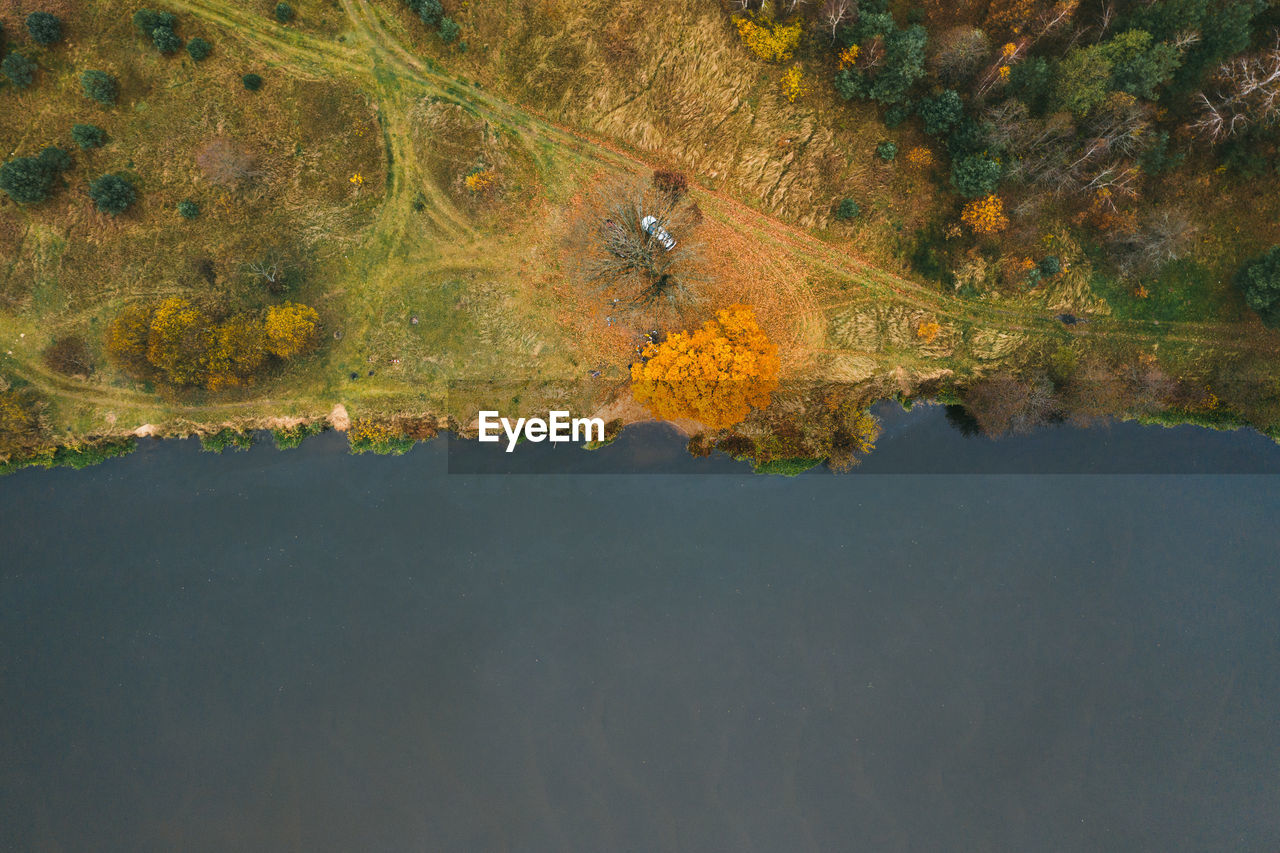 High angle view of leaf on land