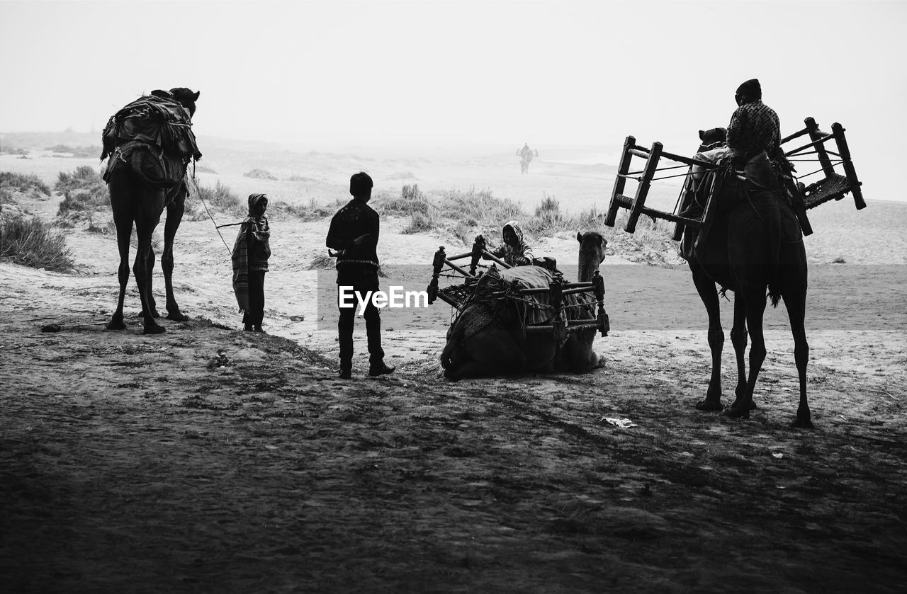 People with camels in the desert