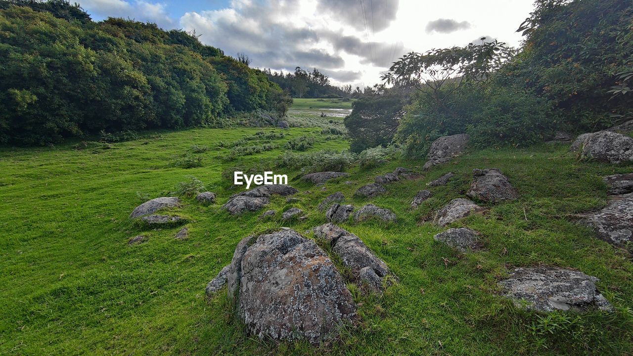 Scenic view of landscape against sky in ooty, india