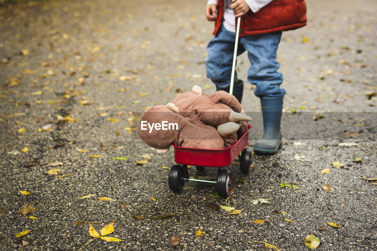 Low section of boy pushing toy cart with stuffed toys on road