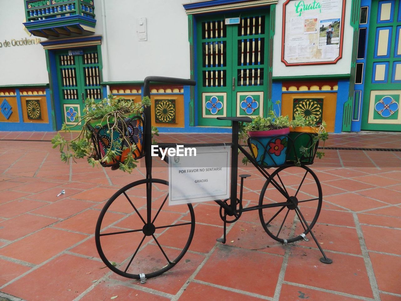 BICYCLE PARKED ON TREE