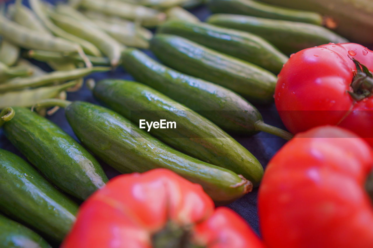 FULL FRAME SHOT OF TOMATOES